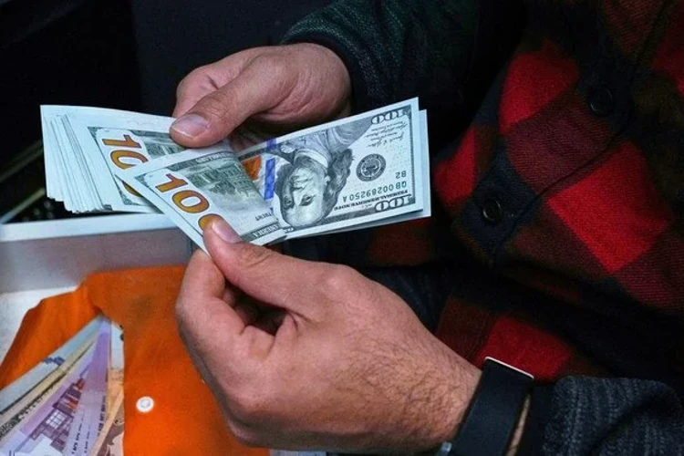 Долар 44,77, євро 51,06: що показали курси НБУ на 23 липня